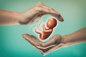 IQ of IVF Babies as High as that of Normally Conceived Peers